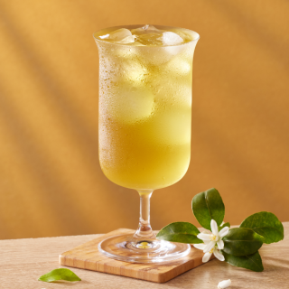 ALL_catalog_24H07_Ytv133WdMi